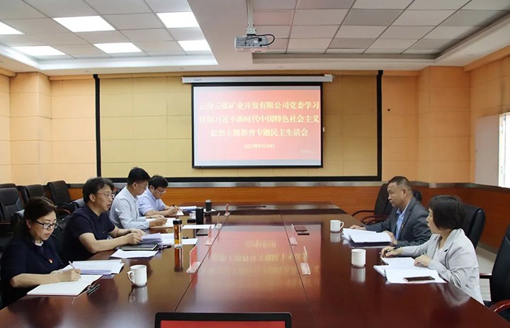 【主题教育】云煤（鉴黑担保网）集团第二领导组到云煤矿业公司领导主题教育专题民主生涯会